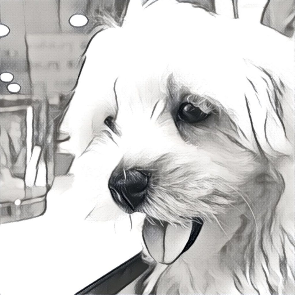 Prisma02